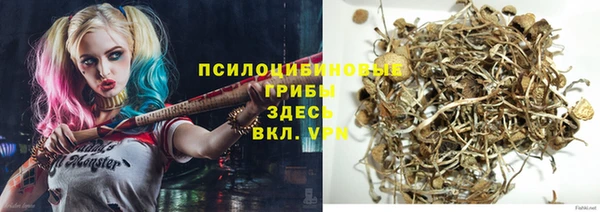винт Алексин