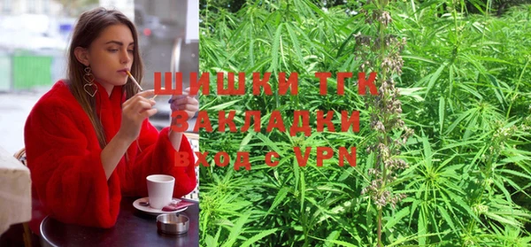 винт Алексин