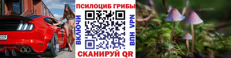 Галлюциногенные грибы мухоморы Большой Камень